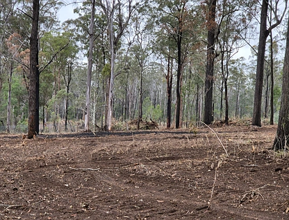 Lot 1 Taromeo Court, Blackbutt North, Brisbane - Northern Region , 0 कमरे, 0 बाथरूम, Lifestyle Property
