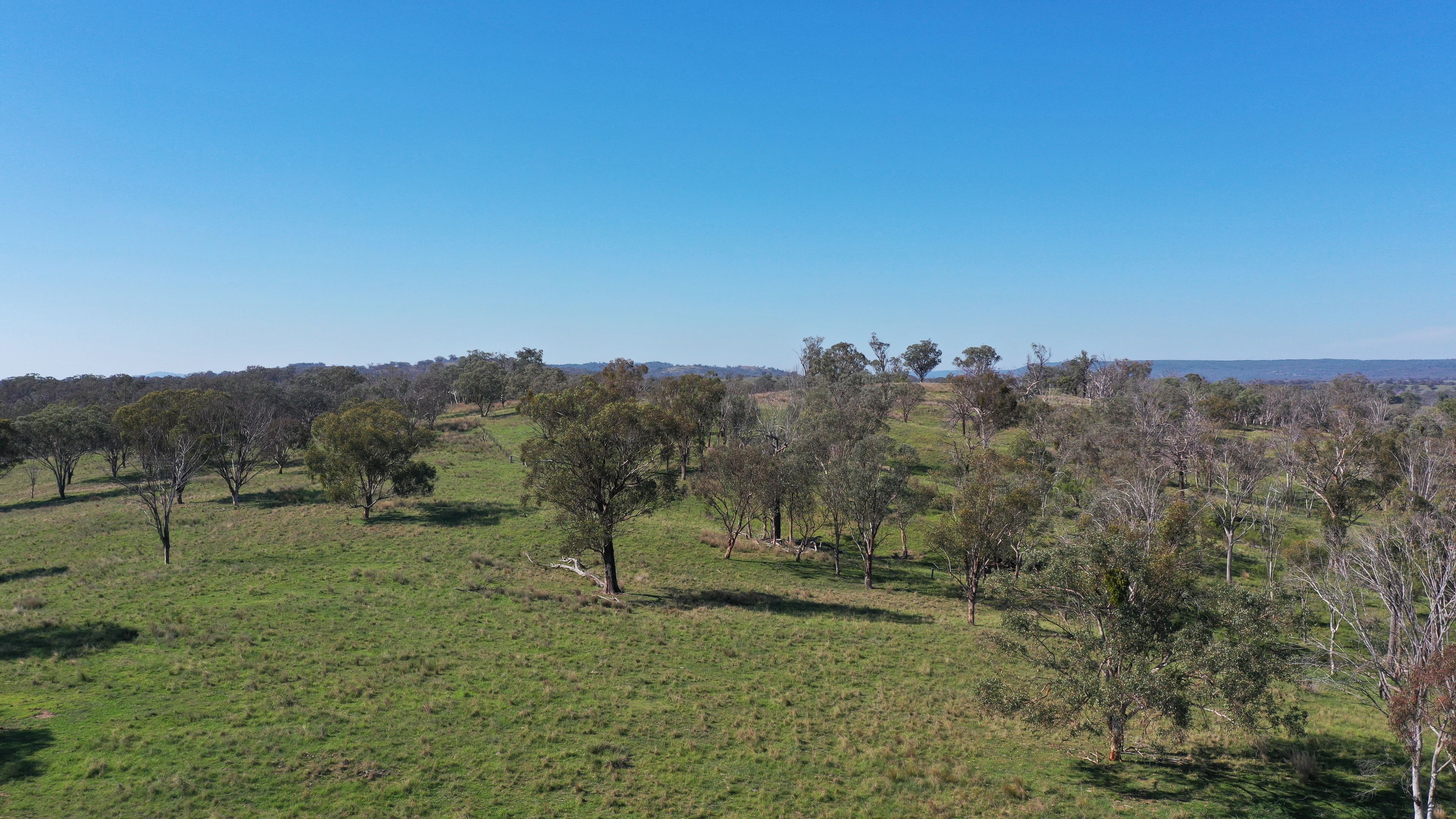 216 MOUNT DRUMMOND RD, BUNDARRA NSW 2359, 0 침실, 0 욕실, Lifestyle Property