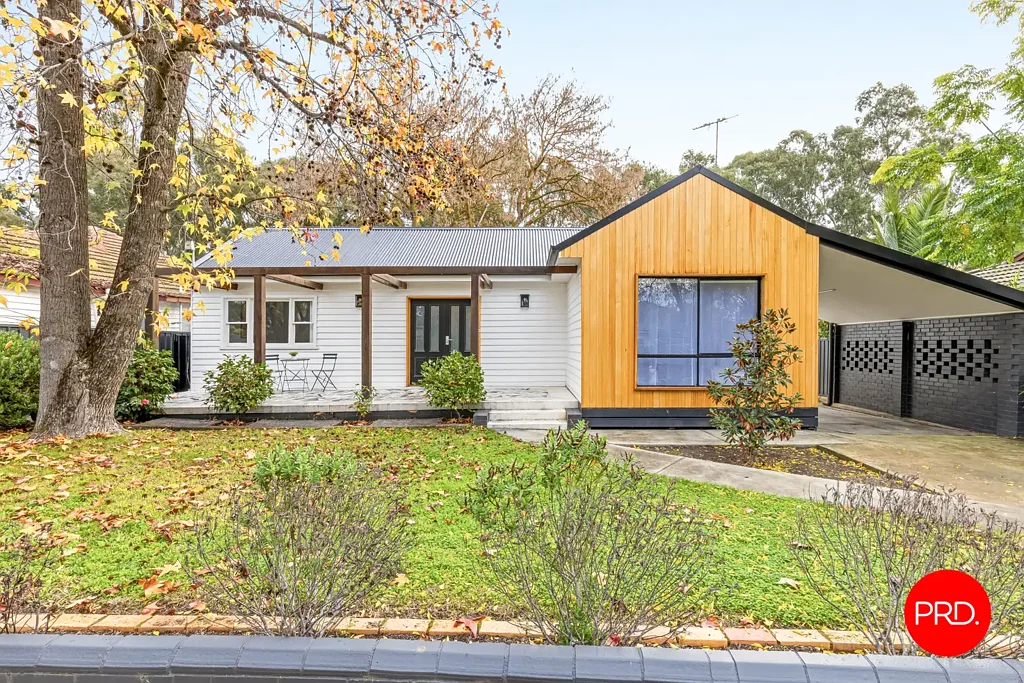Flora Hill 3房  Modern Warmth in a Leafy Flora Hill Pocket