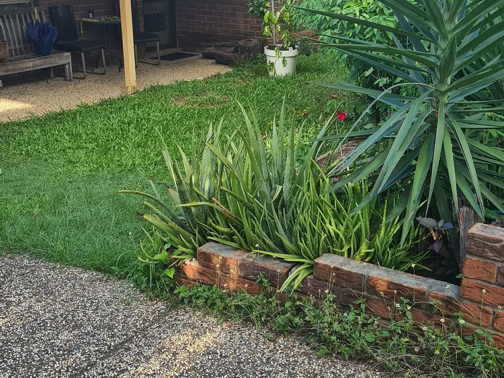 Collingwood Park 4房  Investors, Renovators, First Home buyers