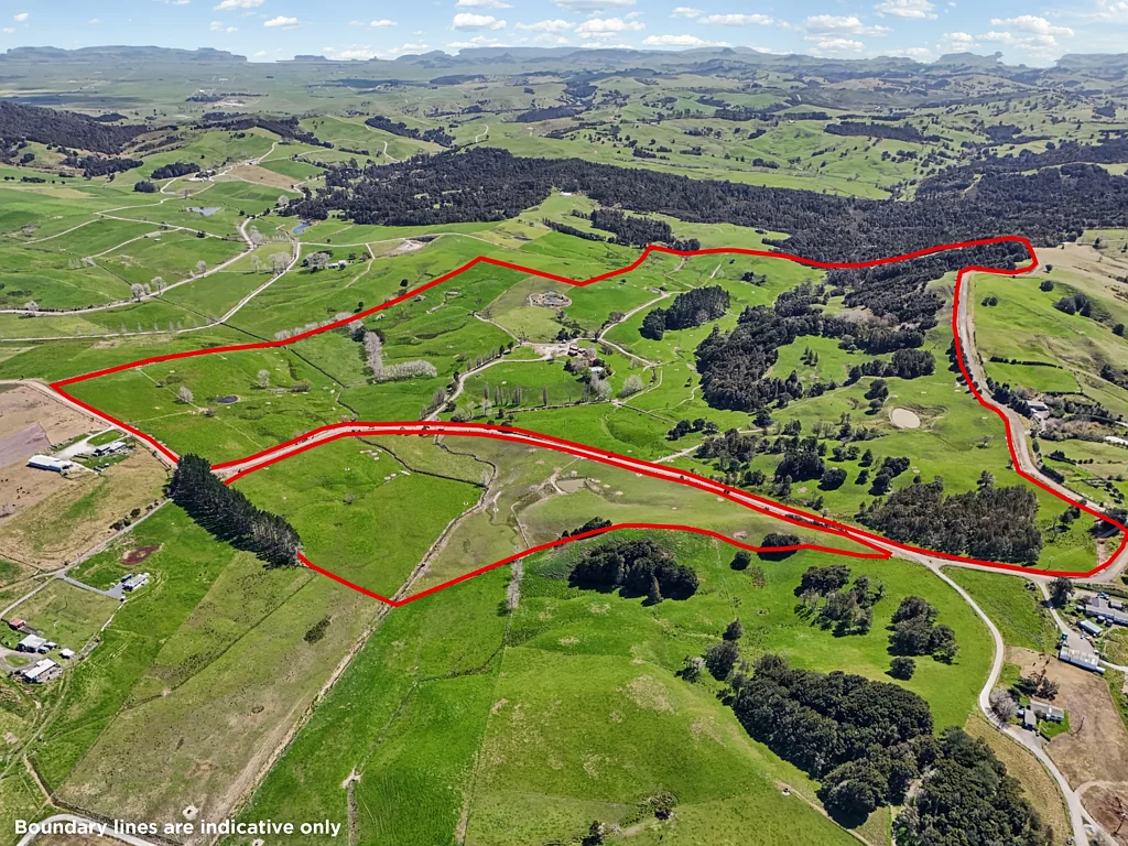 Matakohe Ex dairy farm – grazing and finishing