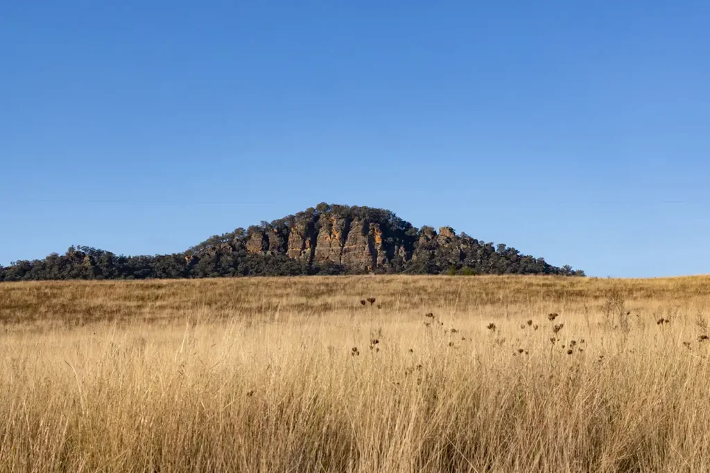 Bylong  Large Scale, Rich Soils & Diverse Landscape