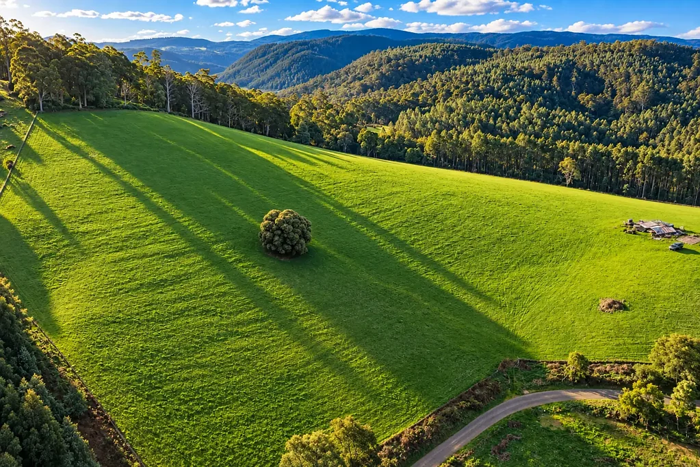 Pyengana 35 Acres of Pure Tasmania