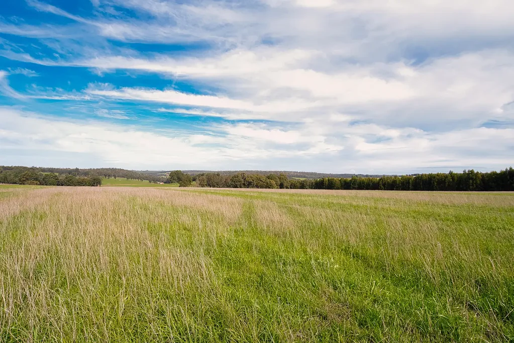 Manjimup Your Perfect Lifestyle Awaits