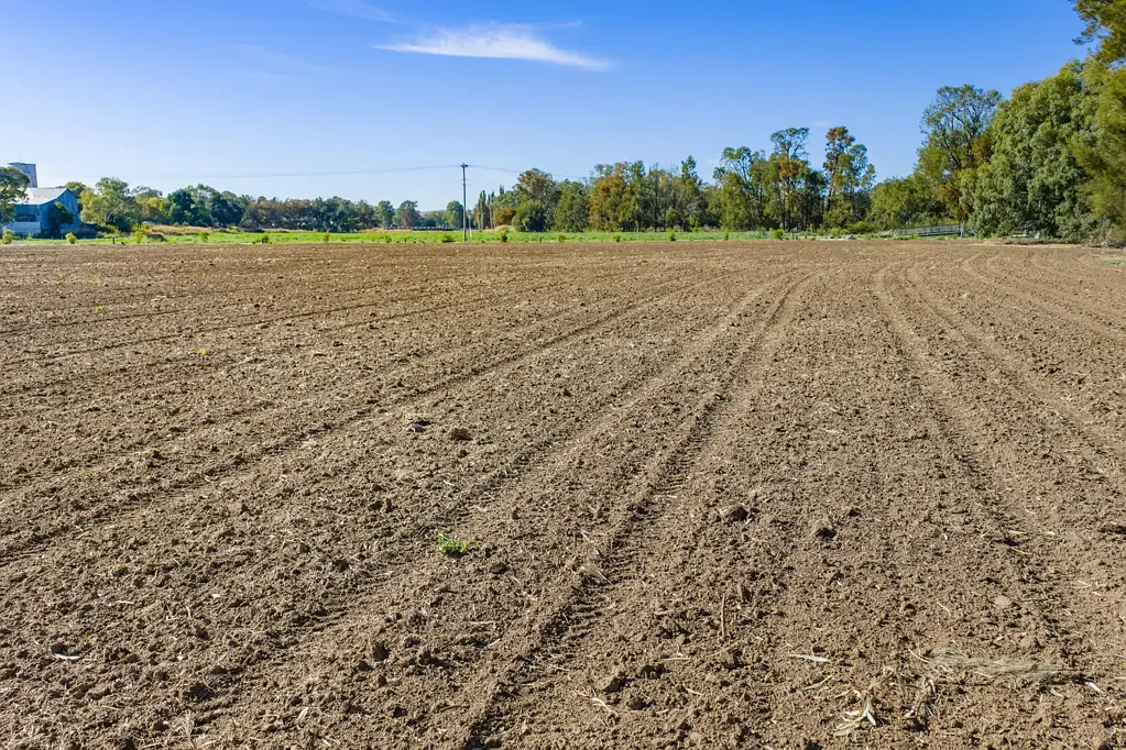Canowindra 5.33 acres of self watering lucerne country, located in the heart of Canowindra!