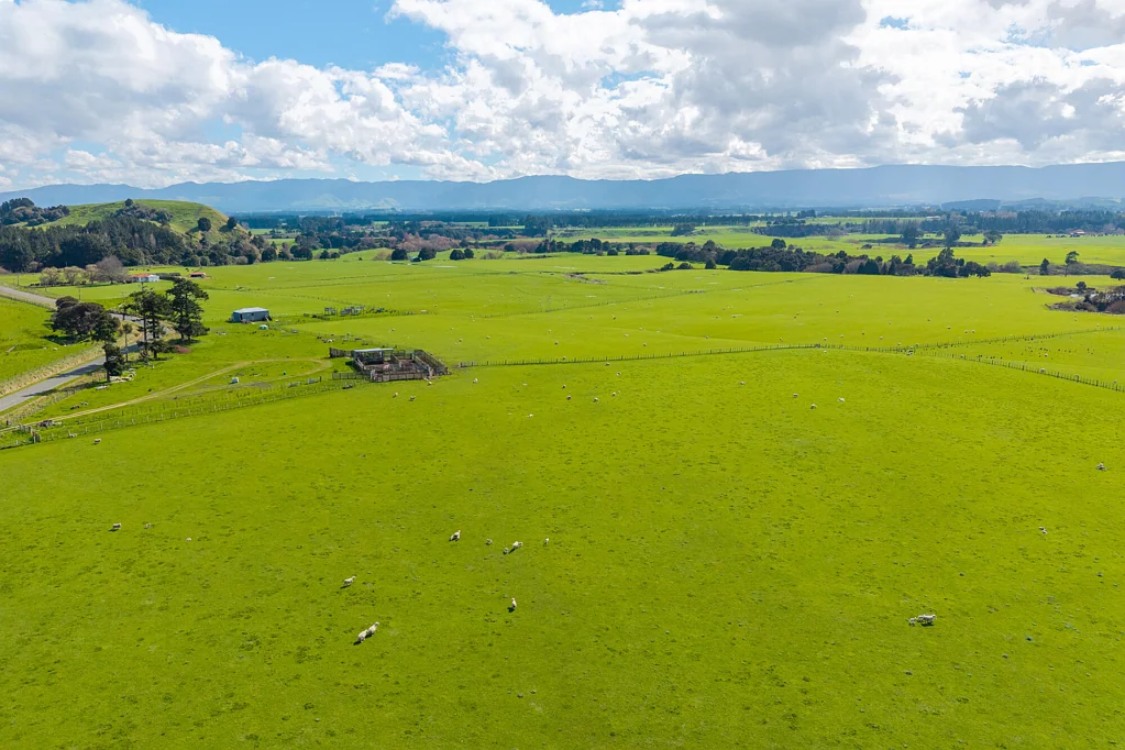 Dannevirke Hirawai – Exceptional intensive finishing property