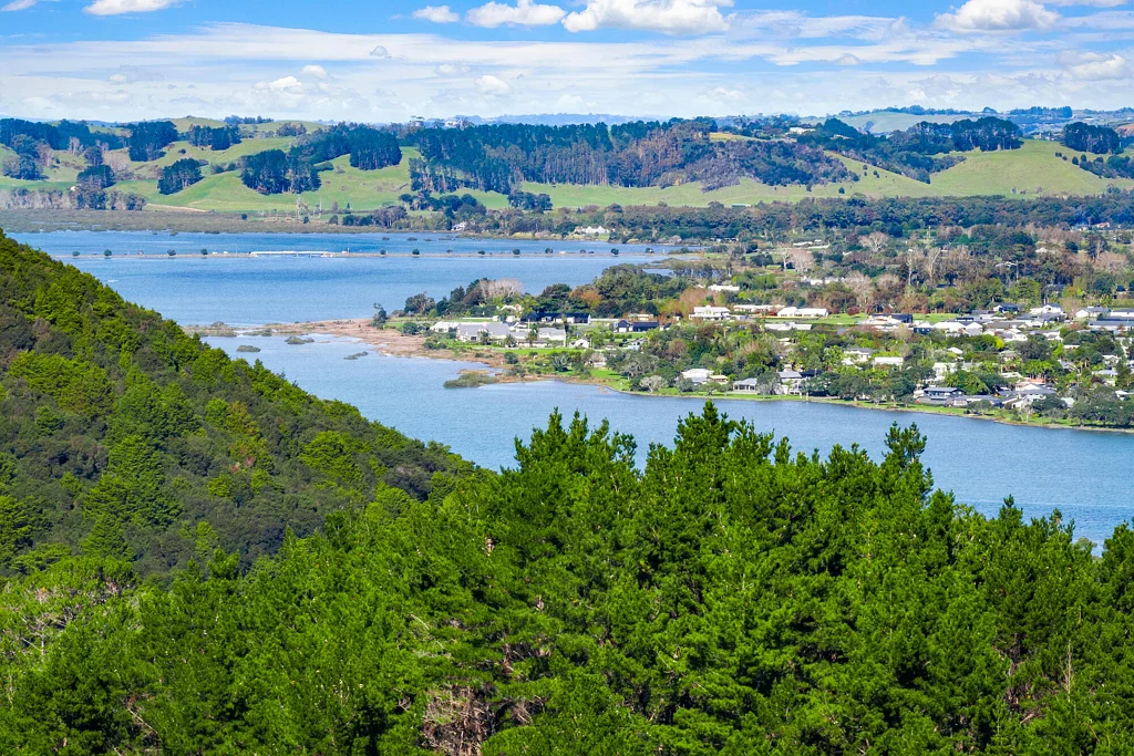 Whangateau Anchorpoint Forestry - 115Ha