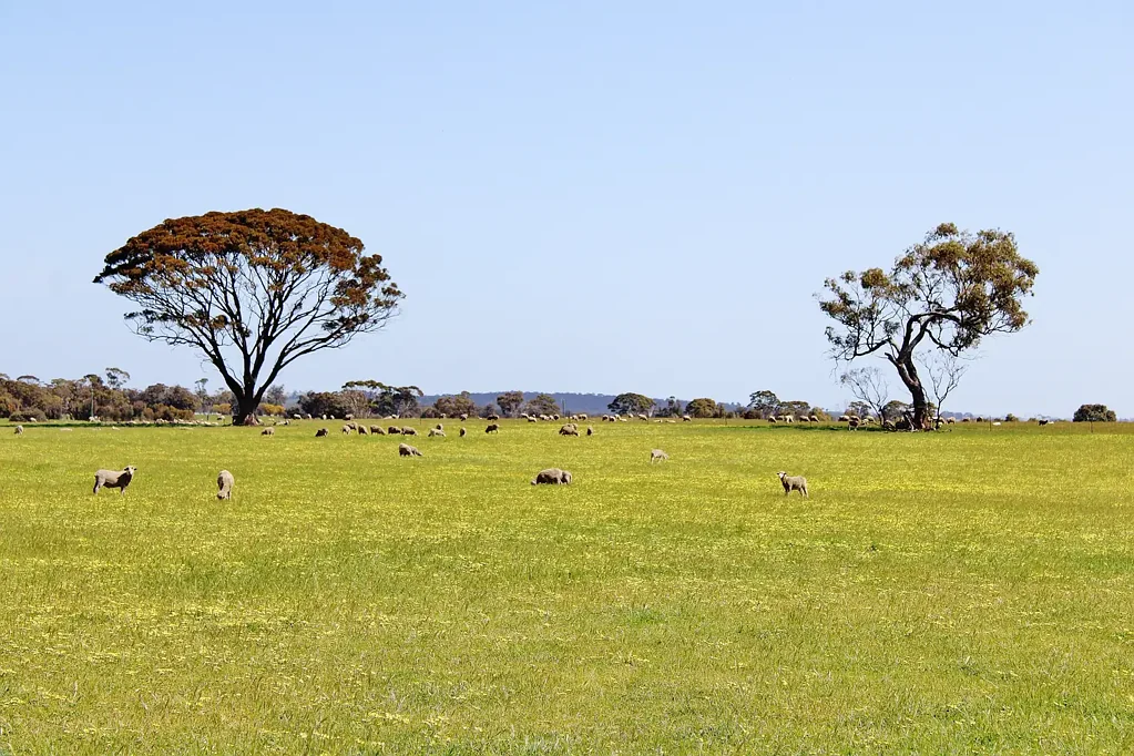 Wagin Historical Rural Retreat with Endless Possibilities (163 acres)