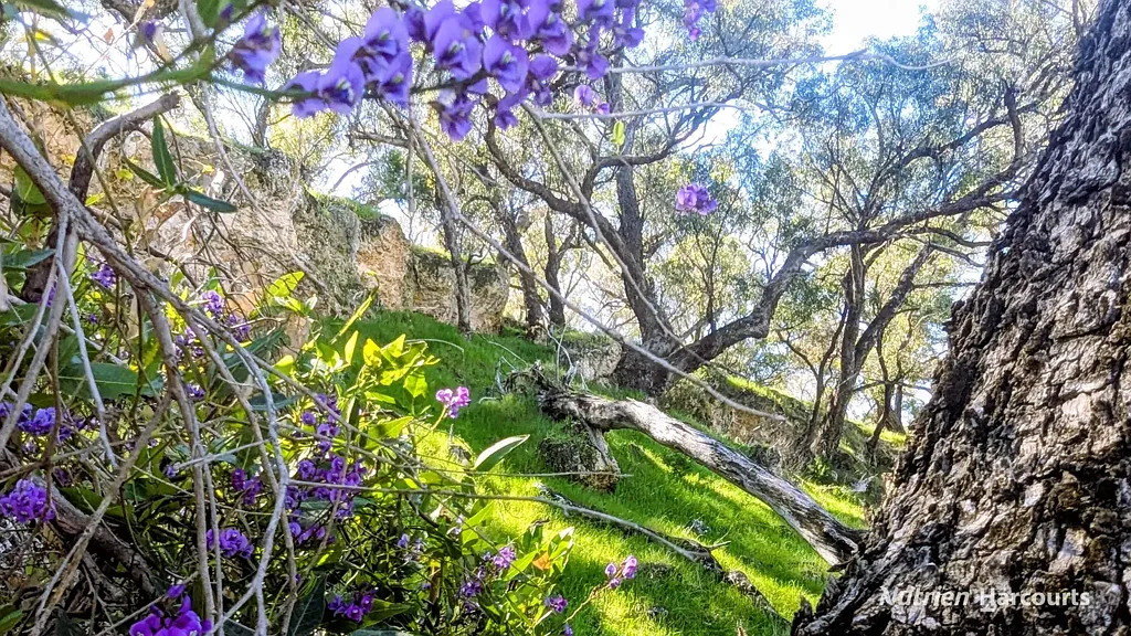 Cowalla  "Millbank Vista" 144 Acres North of Perth, Close to Coast.