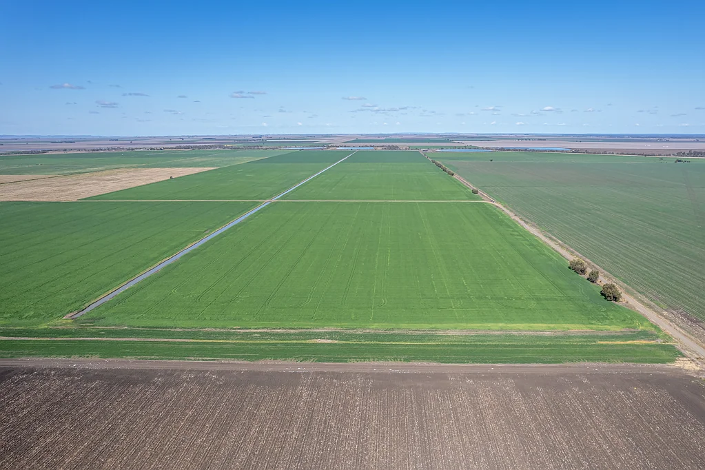 Bowenville  Unequalled Irrigation Opportunity