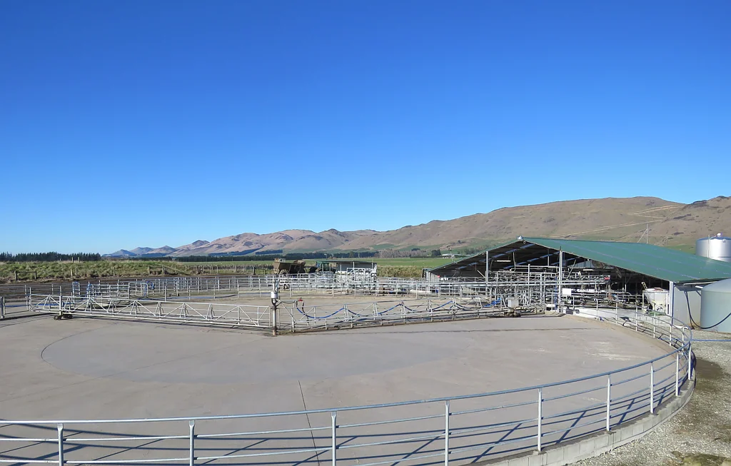 Lumsden Surrounds Class dairy unit with wintering ability