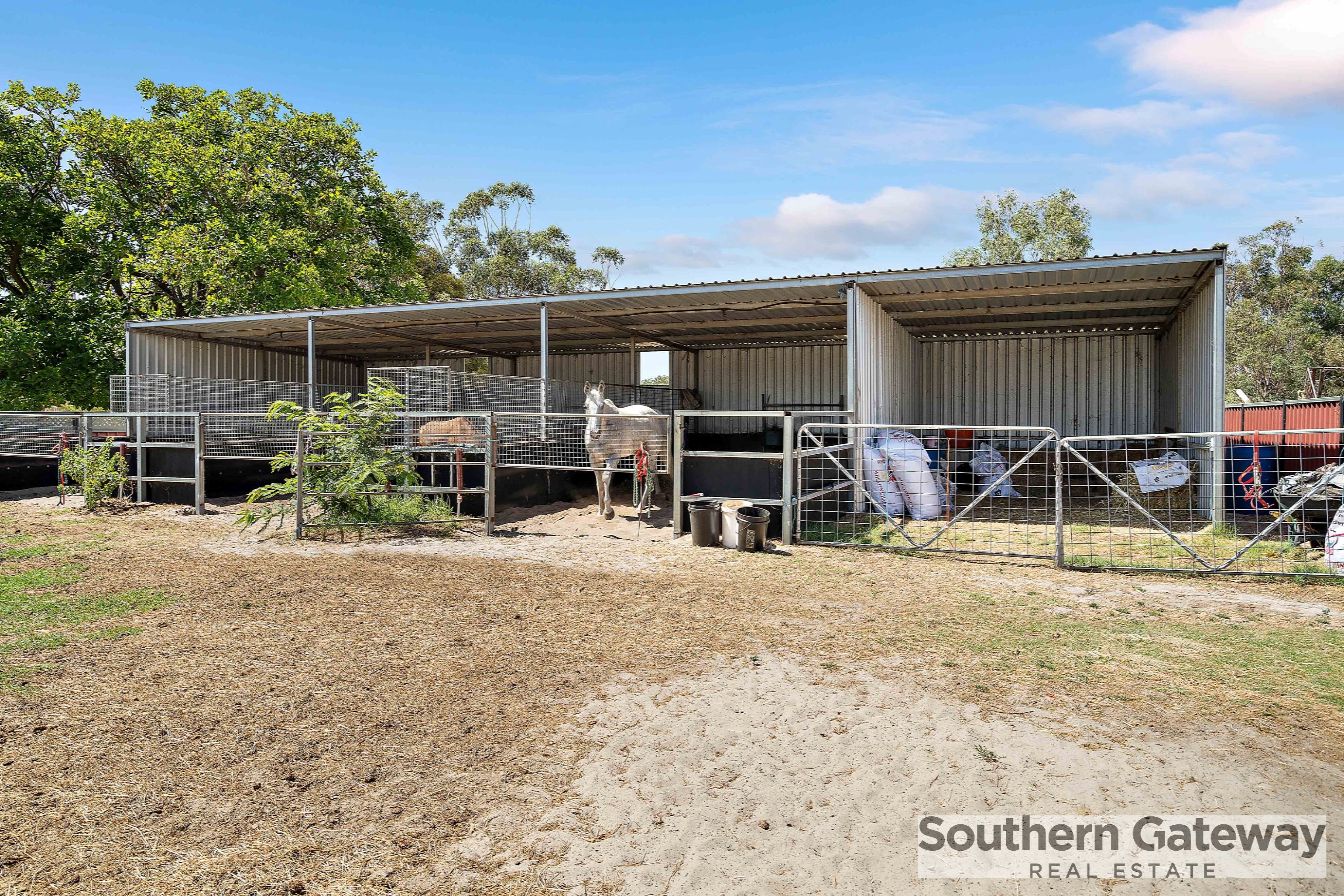 12 RACECOURSE RD, PINJARRA WA 6208, 0房, 0浴, Section