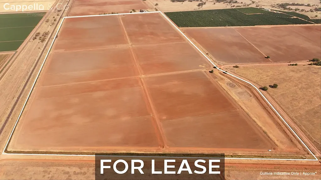 Whitton  ROW CROPPING FARM FOR LEASE - 2 x 200* acres farms -separately or as a whole