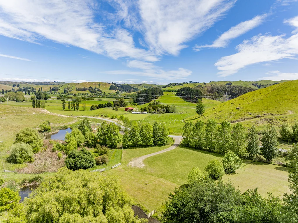 Puketapu Tranquil Lifestyle Section in Puketapu