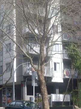 5h/113 Vincent Street, Auckland Central, Auckland, 1部屋, 1バスルーム