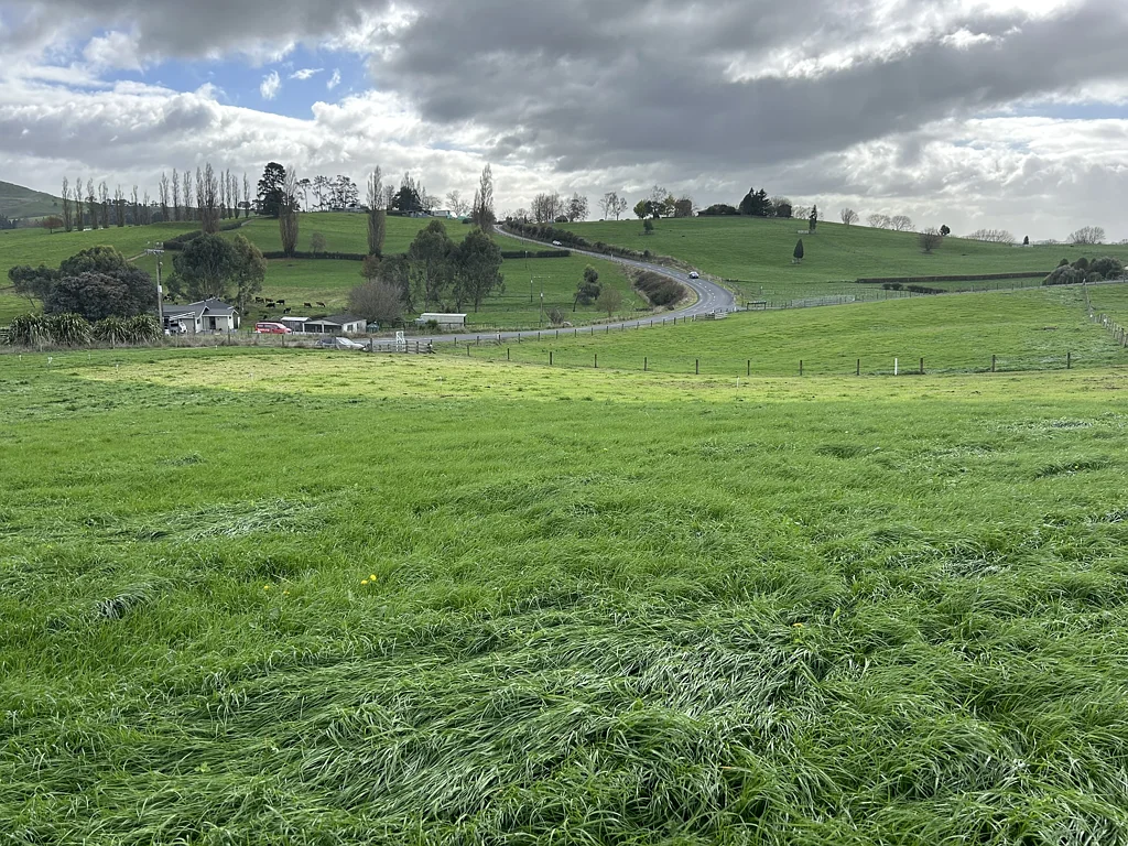 Te Awamutu Tidy section, no covenants!