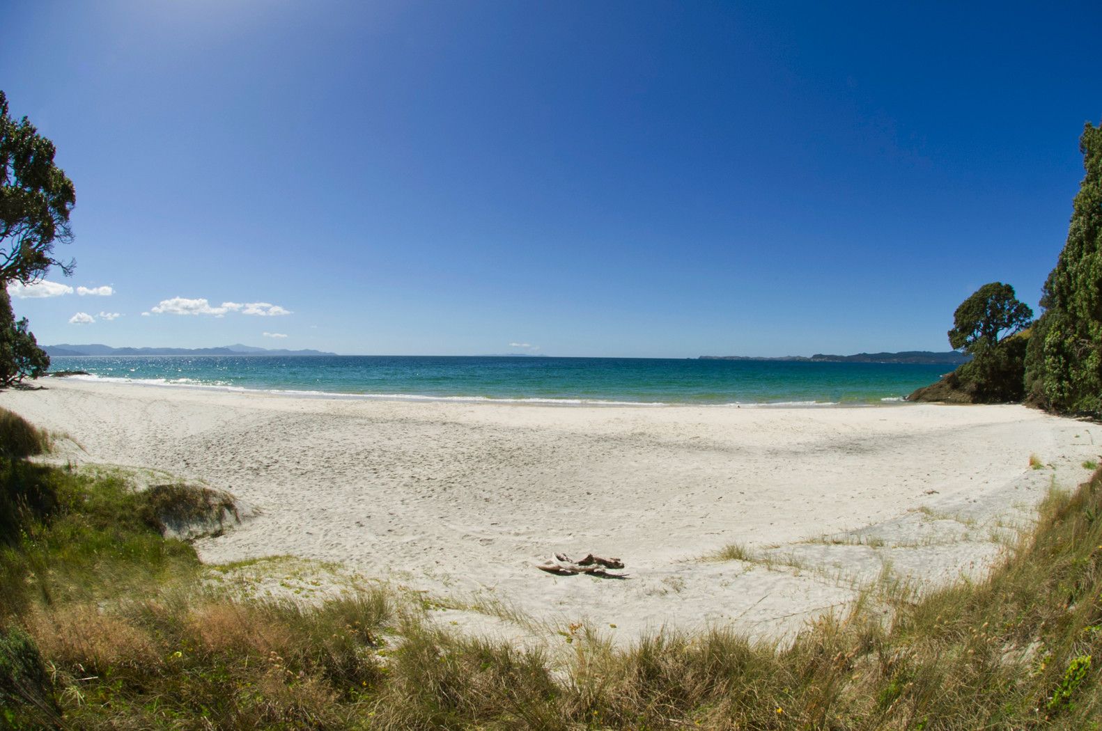 39 Otama Beach Road, Opito Bay, Coromandel, 2房, 0浴