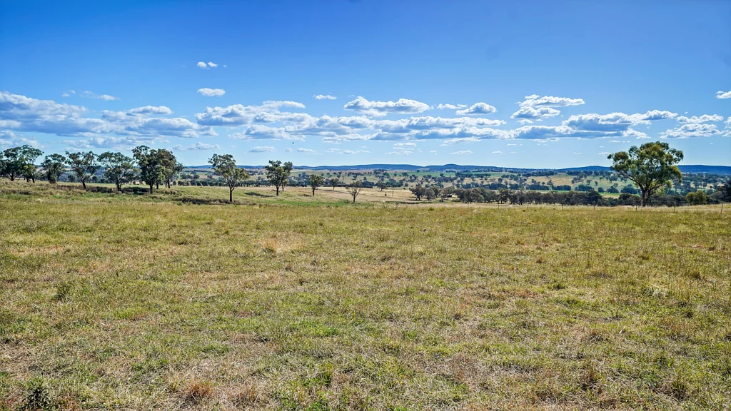 Molong 'Top Oaks'