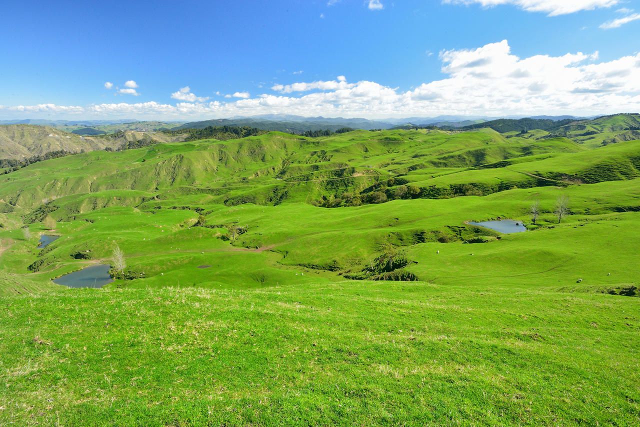 2613 Cricklewood Road, Wairoa Country, Wairoa, 3 phòng ngủ, 0 phòng tắm