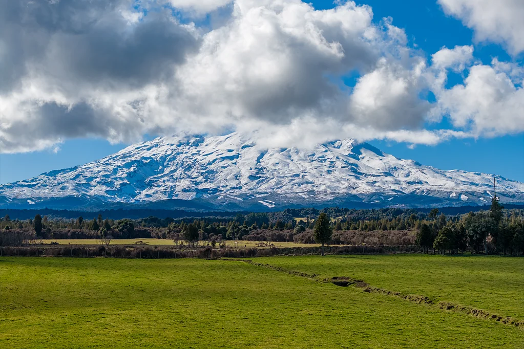 Ohakune Reach Out And Touch It!