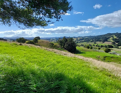 State Highway 1, Okaihau, Far North, 0 Bedrooms, 0 Bathrooms, Lifestyle Section