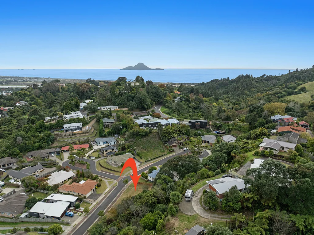 Whakatane Not many remain