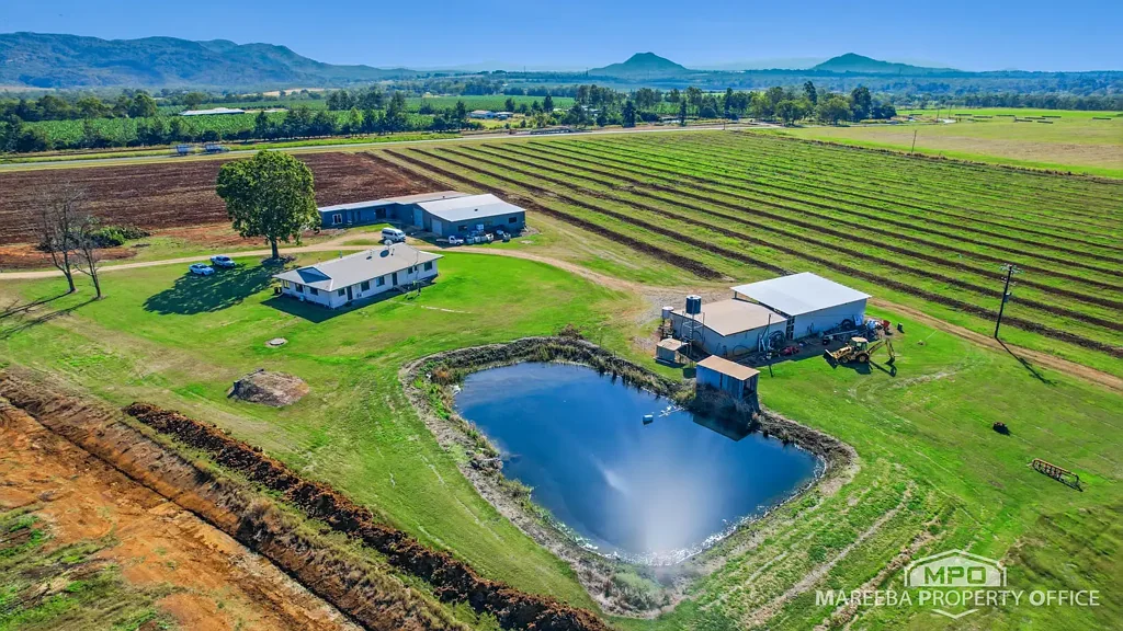 Walkamin  WALKAMIN SHEPARD AVOCADO ORCHARD WITH 120ML WATER