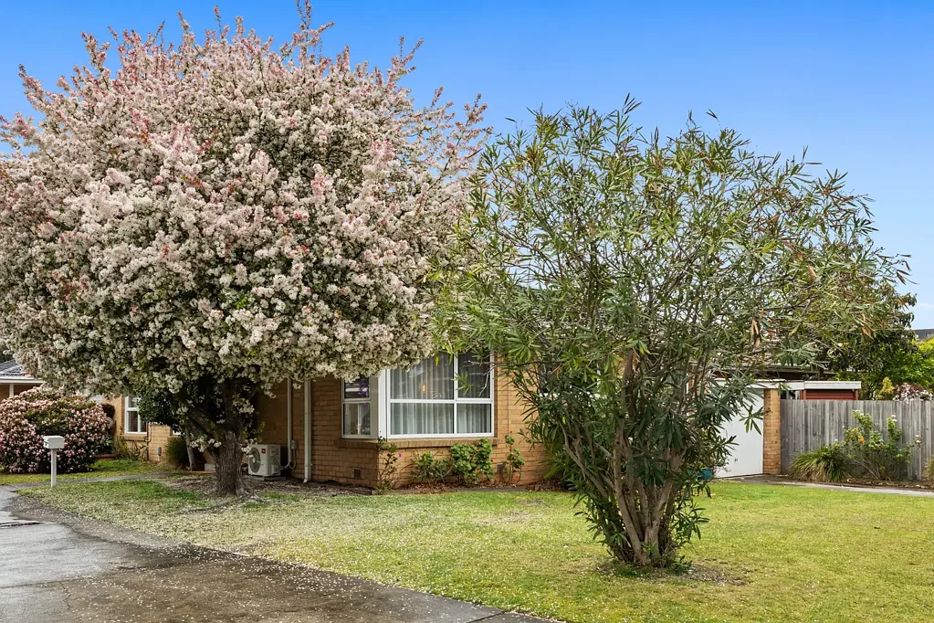 1/438-440 Nepean Highway, Parkdale, VIC 3195