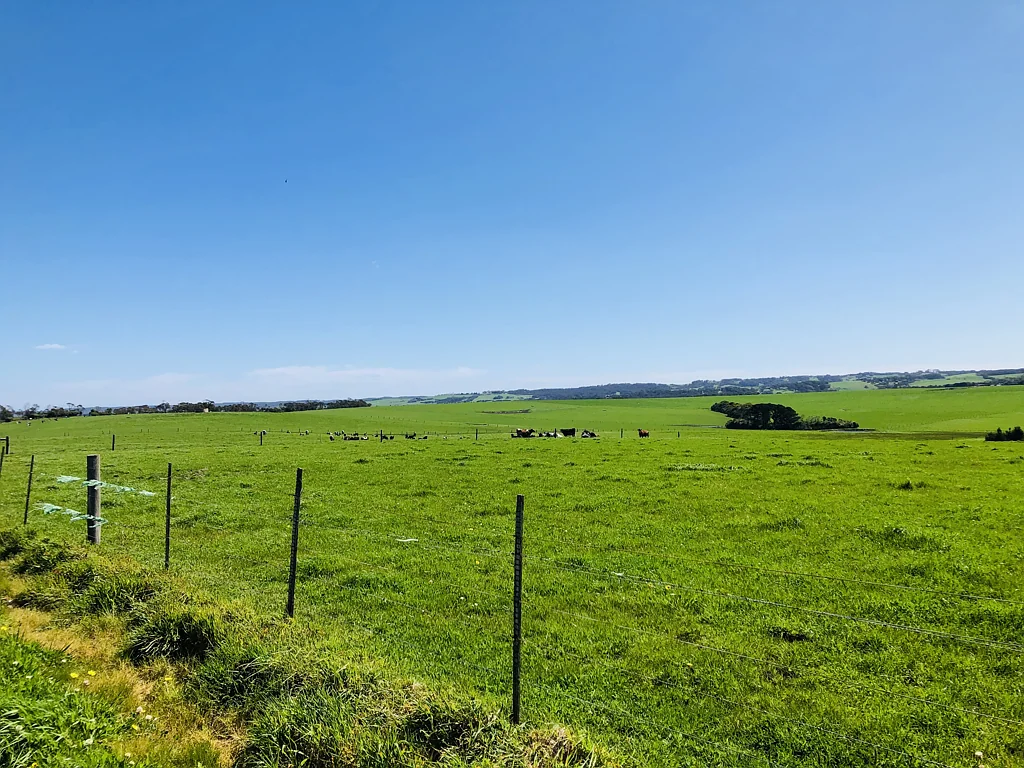 Yanakie Prime productive pasture, spectacular Prom views
