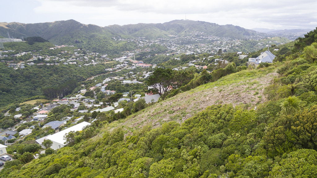 209 Cecil Road, Wilton, Wellington, 0 habitaciones, 0 baños