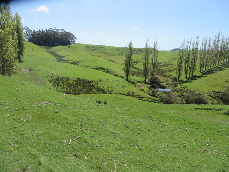 3475 State Highway 1, Hunterville, Rangitikei, 3 Bedrooms, 0 Bathrooms