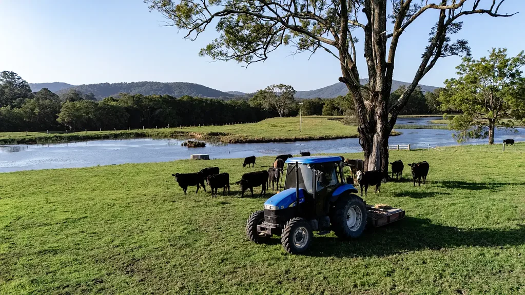 Nabiac Classic Country Family Farm