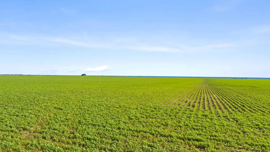 Koolywurtie Opportunity in Tightly Held Cropping District