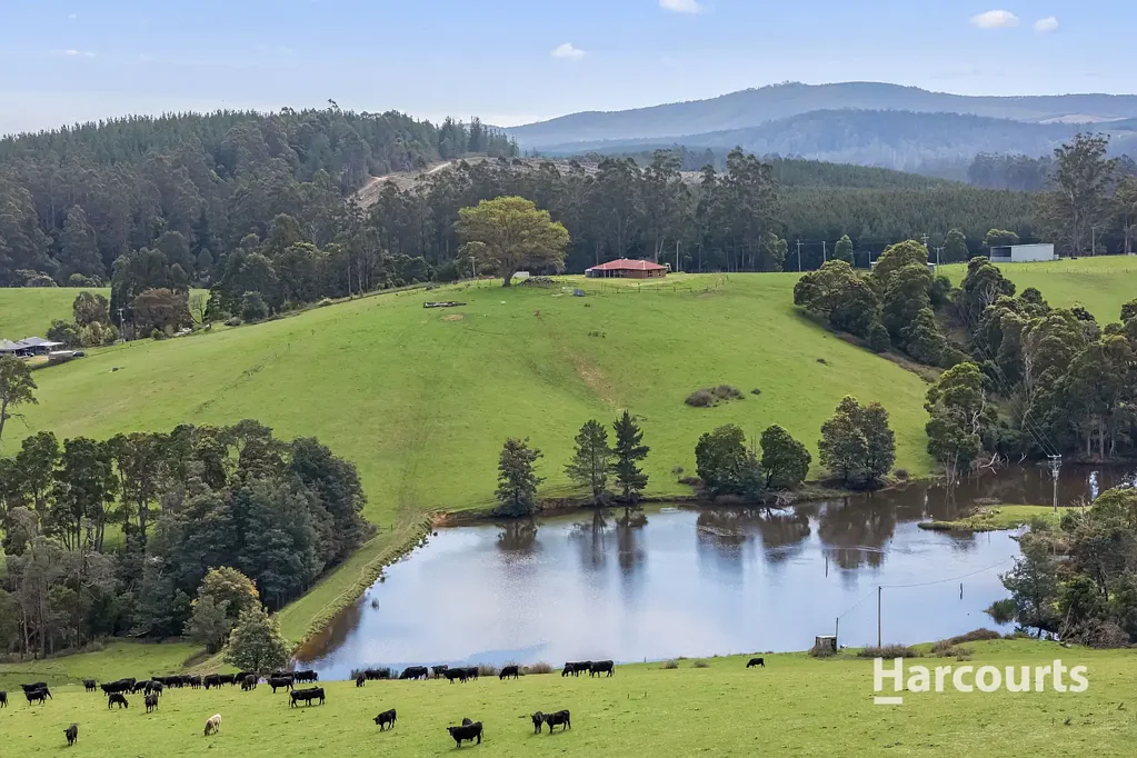 Kamona 'Highfield' 288 Acres of Rolling Farmland