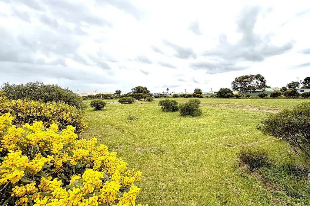 Penong Your Own Slice of Serenity in Penong: A Massive 5,000m² Opportunity!