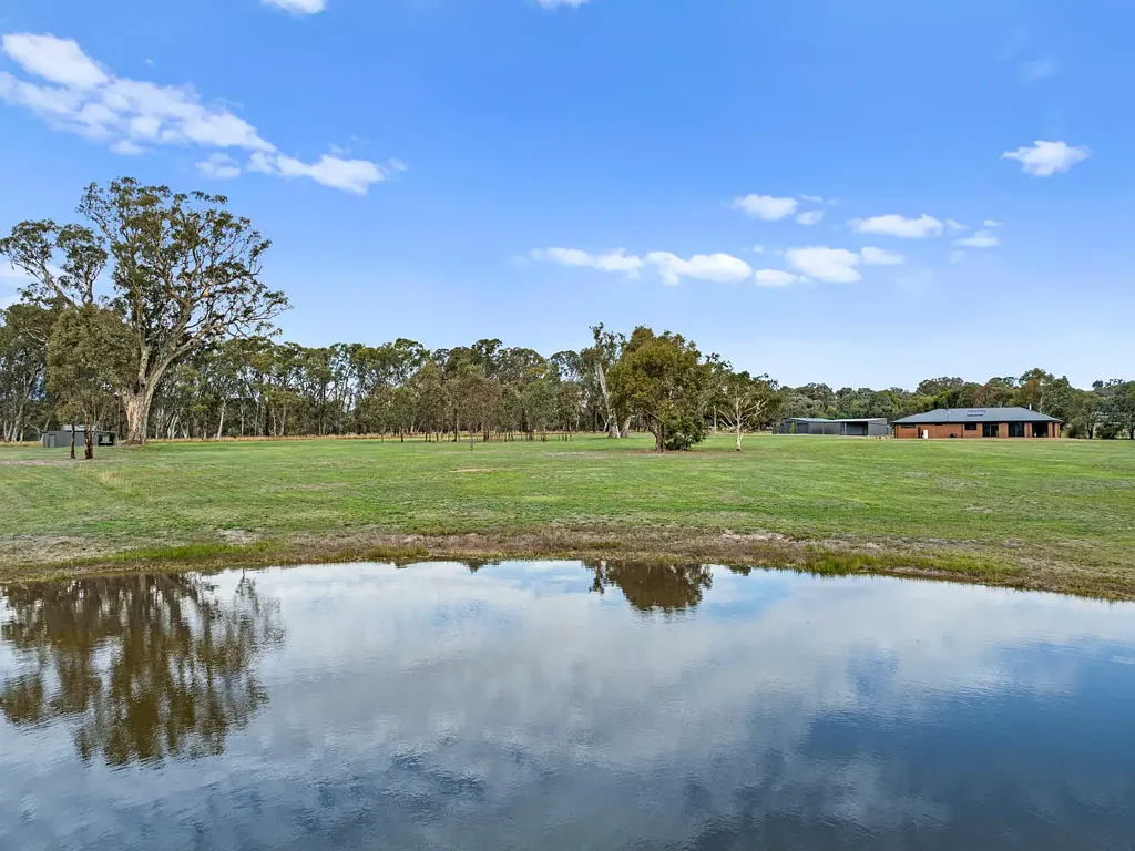 Mansfield 4બેડરૂમ High quality home and sheds on 10 acres of useable land!