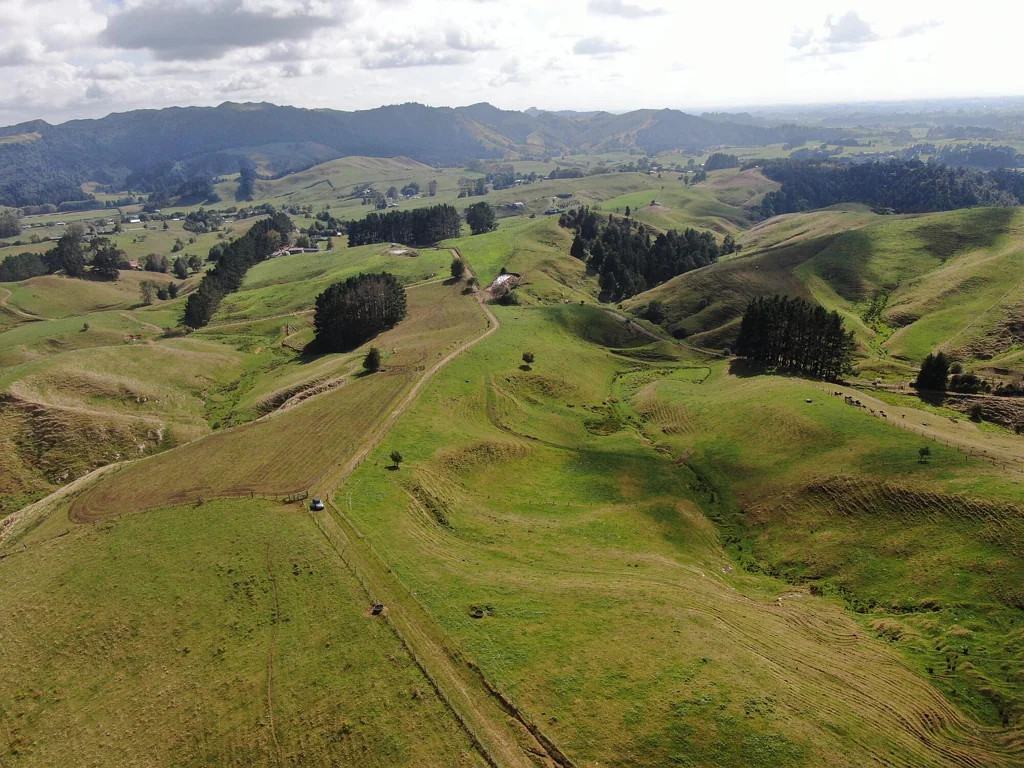 Karamu First Farm or Cattle Grazing Opportunity