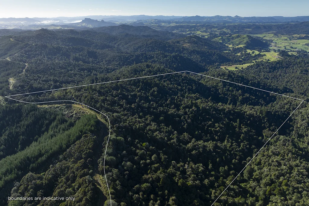 Kaeo Peaceful, Private Bush Block with Expansive Views