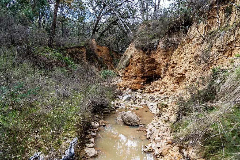 Mudgee DIG FOR GOLD, PROSPECTORS PARADISE