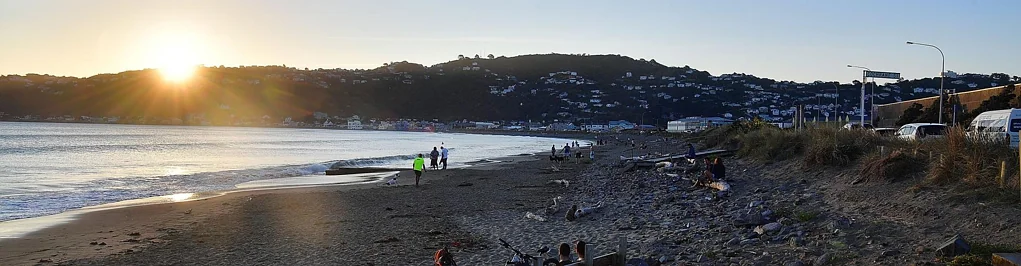 Lyall Bay