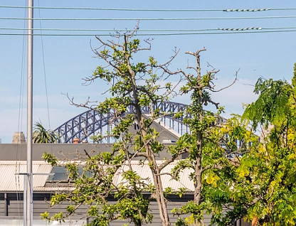1/4-6 Nicholson Street, Balmain East, Inner West, 2 રૂમ, 1 બાથરૂમ, Apartment