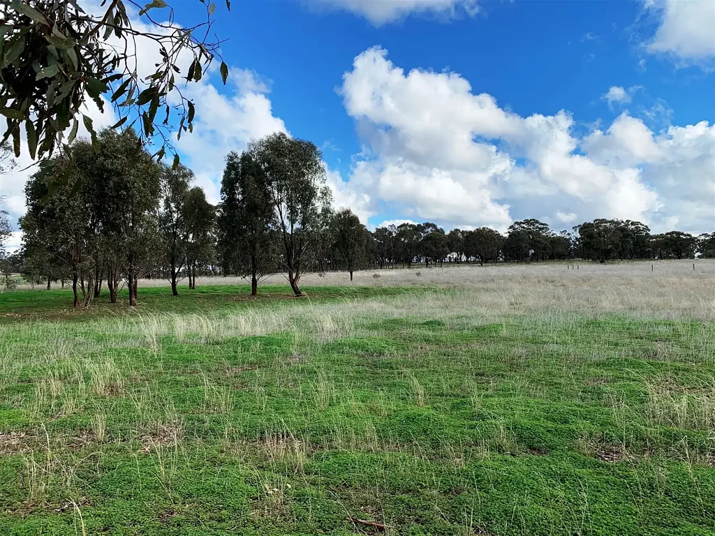 Bonn  4.35 ACRES OF FARM ZONE LAND-3 street frontages.