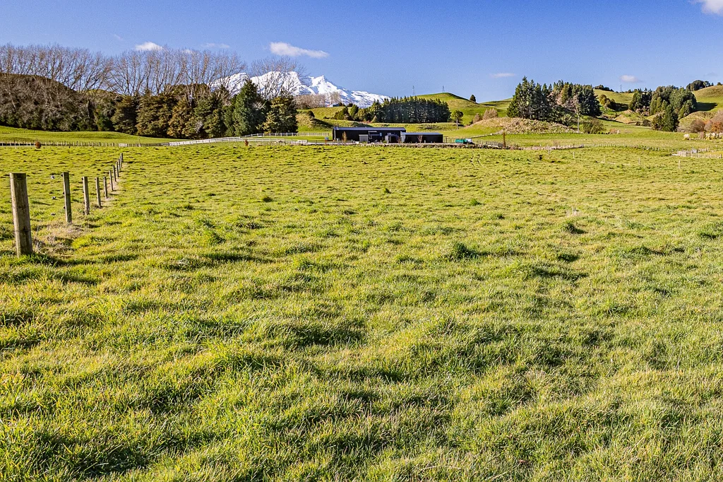 Ohakune  Dare to dream