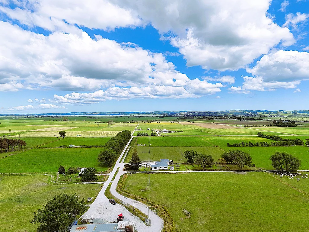 Ruawai  Productive Beef Grazing Farm - Ex Dairy Farm