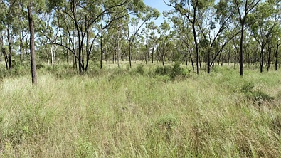 LOT 1 Gregory Developmental Road, Broughton, QLD 4820, 0 રૂમ, 0 બાથરૂમ, Section