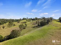 4753 KYOGLE RD, Wadeville