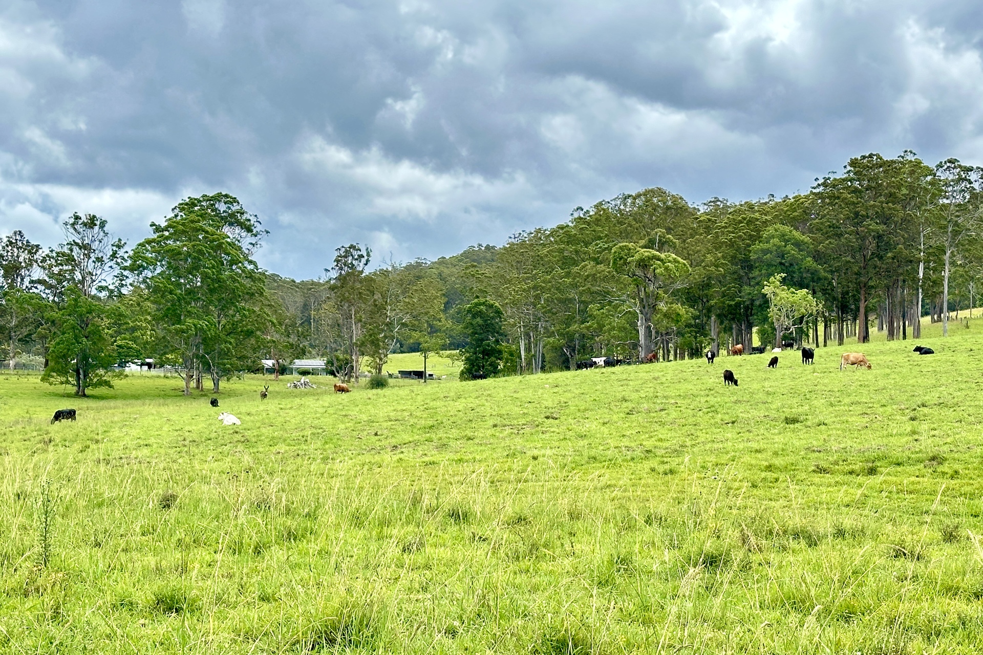 RURAL LANDSCAPE