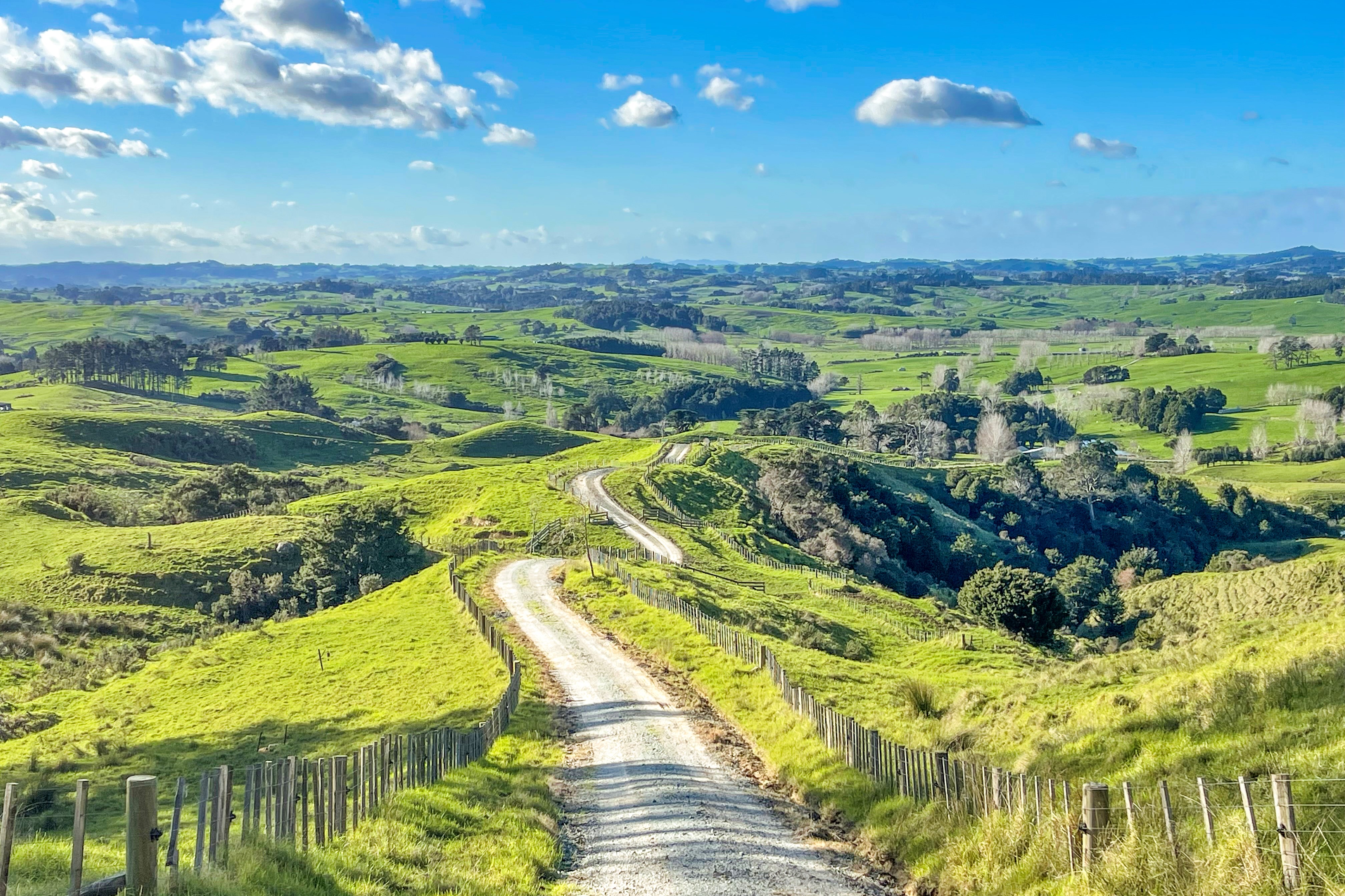 Oldfield Road, Wellsford, Auckland - Rodney, 0 ห้องนอน, 1 ห้องน้ำ, Grazing