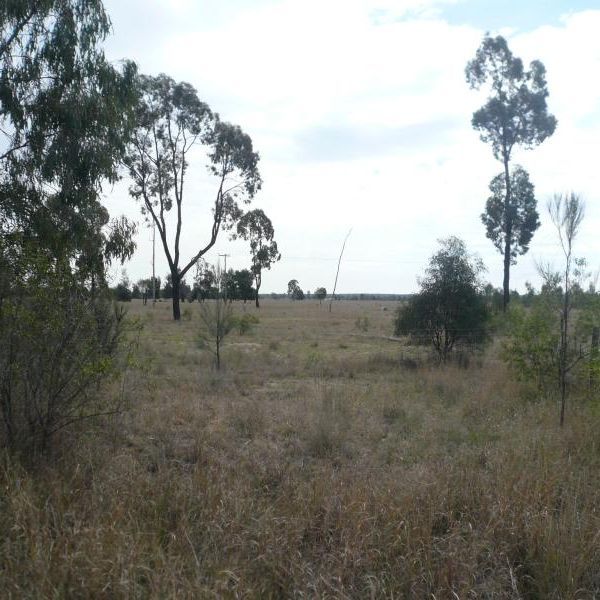 1325 TARA-KOGAN RD, TARA QLD 4421, 0 ਕਮਰੇ, 0 ਬਾਥਰੂਮ, Section