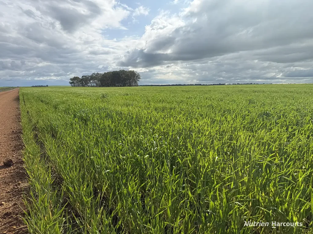 Monjingup  214ha Premium Arable Farmland West of Esperance